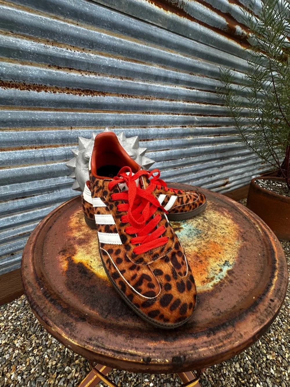 Adidas Leopard Print Samba OG Sneakers 🐆♥️ Men’s 8 Women’s 10 - Picture 4 of 7